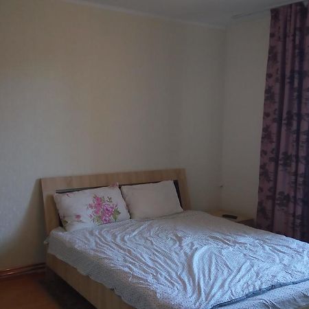 Central Apartment 2 蒂米什瓦拉 外观 照片