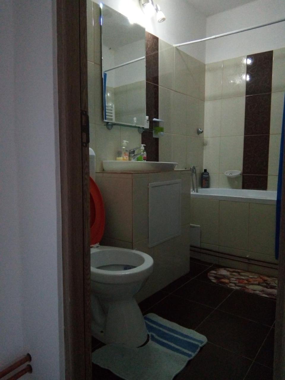 Central Apartment 2 蒂米什瓦拉 外观 照片